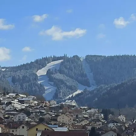 Charmant Chalet, Spacieux, Proche Du Lac, Vue Sur La Montagne Gérardmer Buitenkant foto