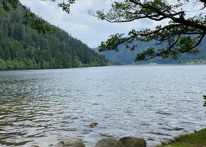 Charmant Chalet, Spacieux, Proche Du Lac, Vue Sur La Montagne