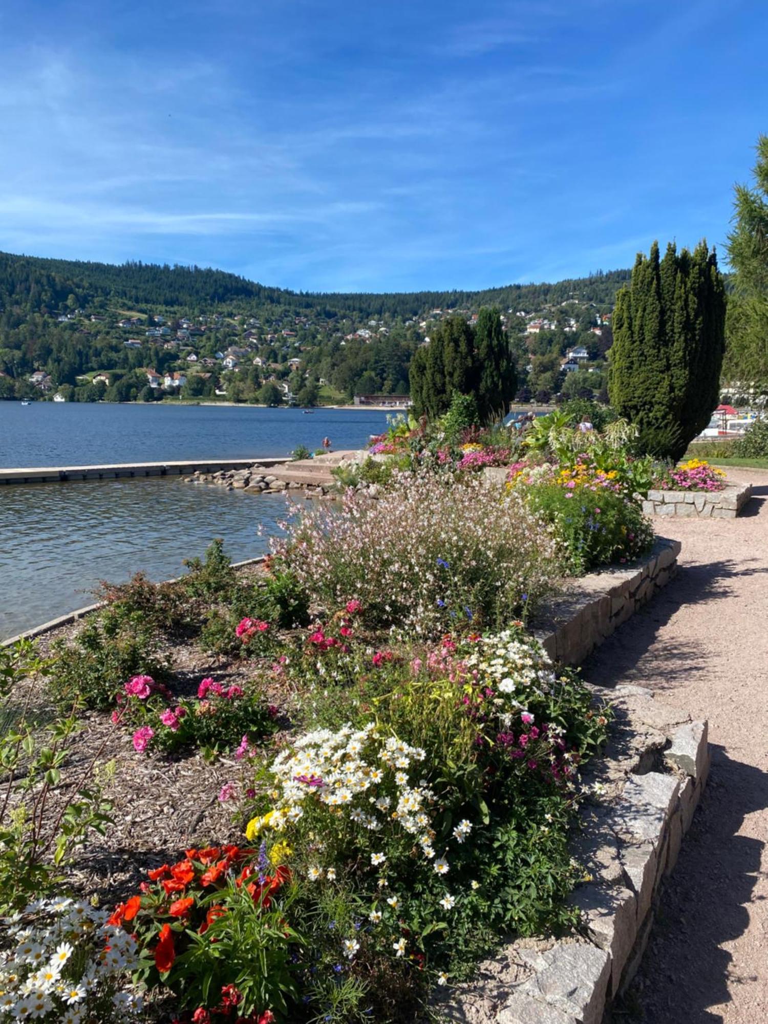 Chalet, Spacieux, Proche Du Lac, Vue Sur La Montagne Gerardmer