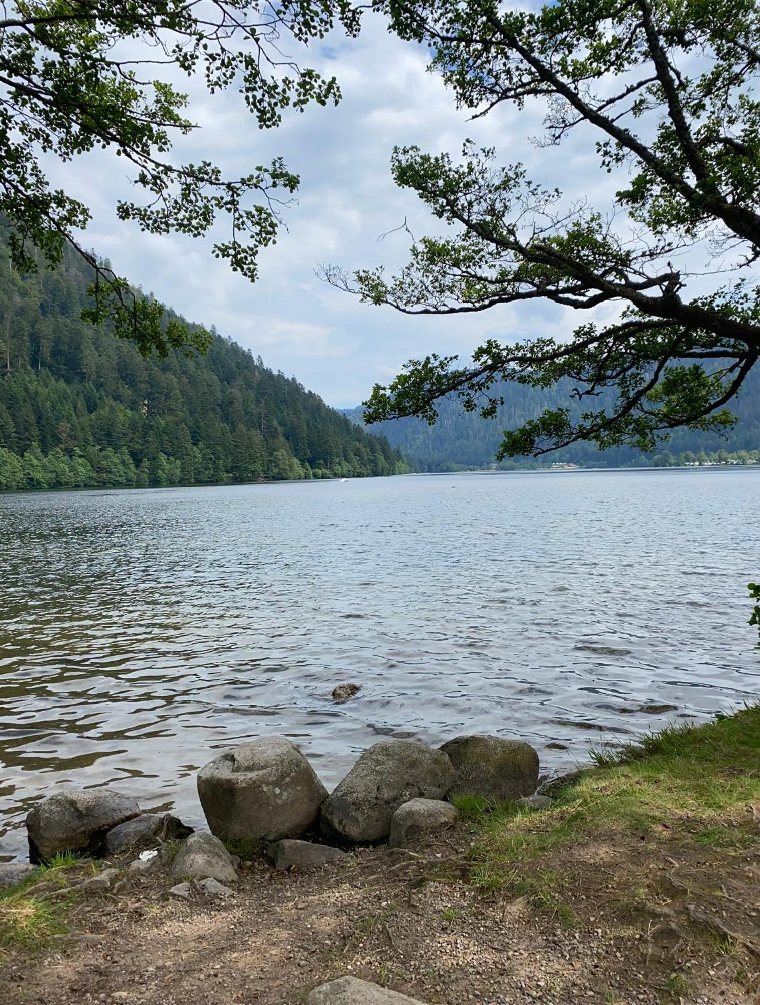 Chalet, Spacieux, Proche Du Lac, Vue Sur La Montagne Holiday home